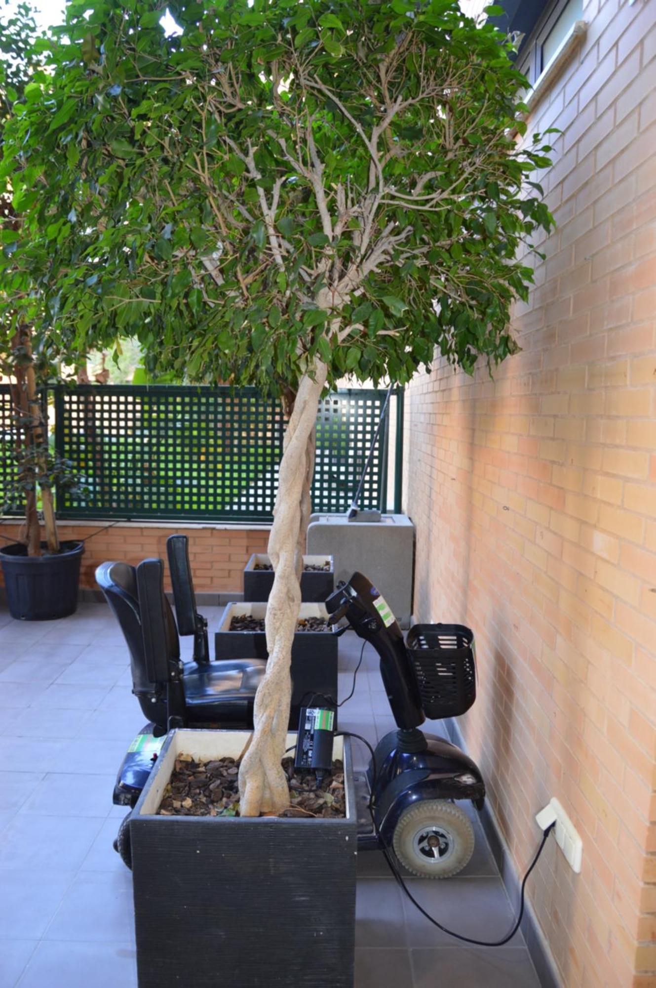 Albir Beach & Sun Apt アルビール エクステリア 写真